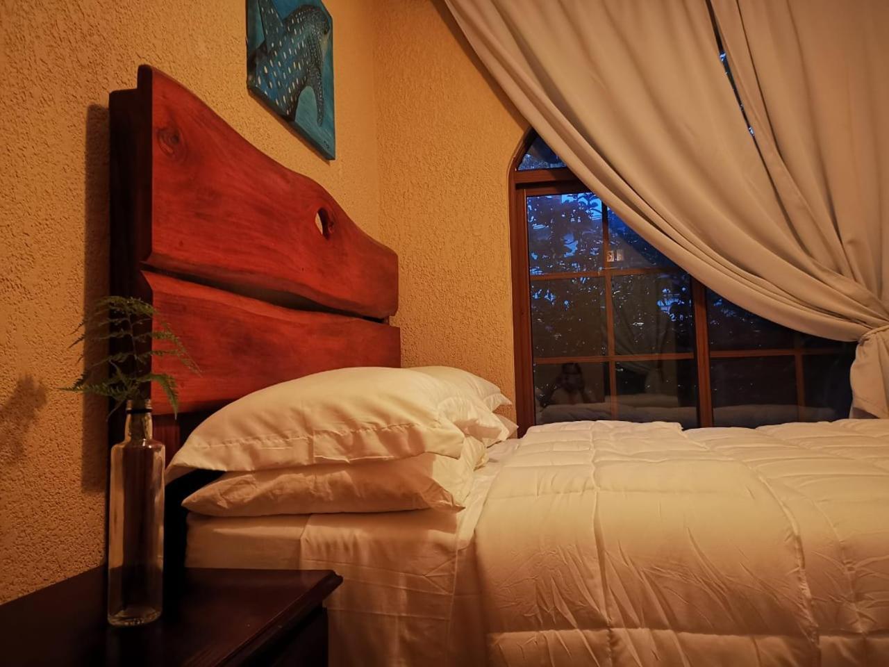 Vive Utila - Bed & Breakfast Útila Quarto foto